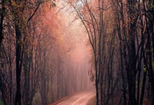 天涯论坛最惊人的十大神贴盘点