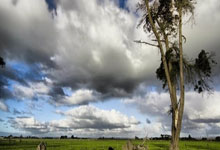 天涯论坛最惊人的十大神贴盘点