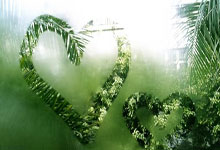 天涯论坛热议天天今天话题